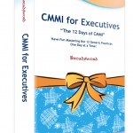 CMMI for Executives, CMMI, CMMI Certification, CMMI Agile, Agile CMMI, CMMI Training, CMMI Consulting